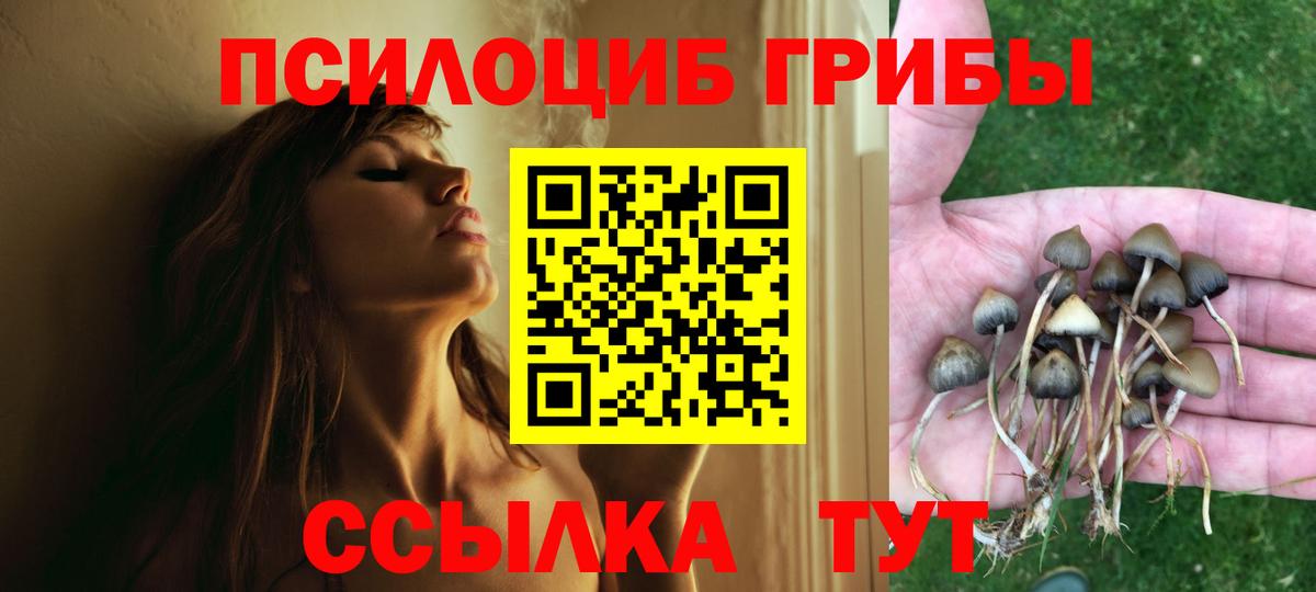 Ликино-Дулёво  Галлюциногенные грибы Cubensis  Вход с VPN  Галлюциногенные грибы MAGIC MUSHROOMS 